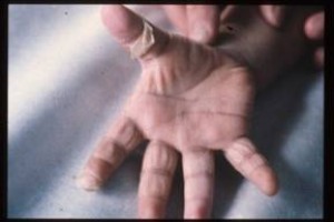 �������� KAWASAKI (8).jpg